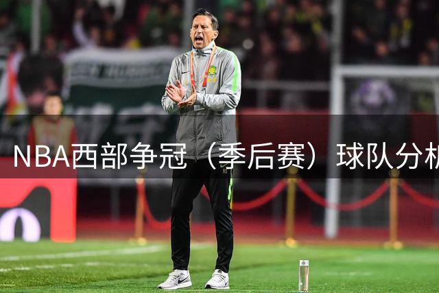 NBA西部争冠（季后赛）球队分析讨论（西部篇）